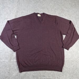 LL Bean Sweater Mens L/XL? V Neck Purple Knit Pullover Jumper Casual Solid
